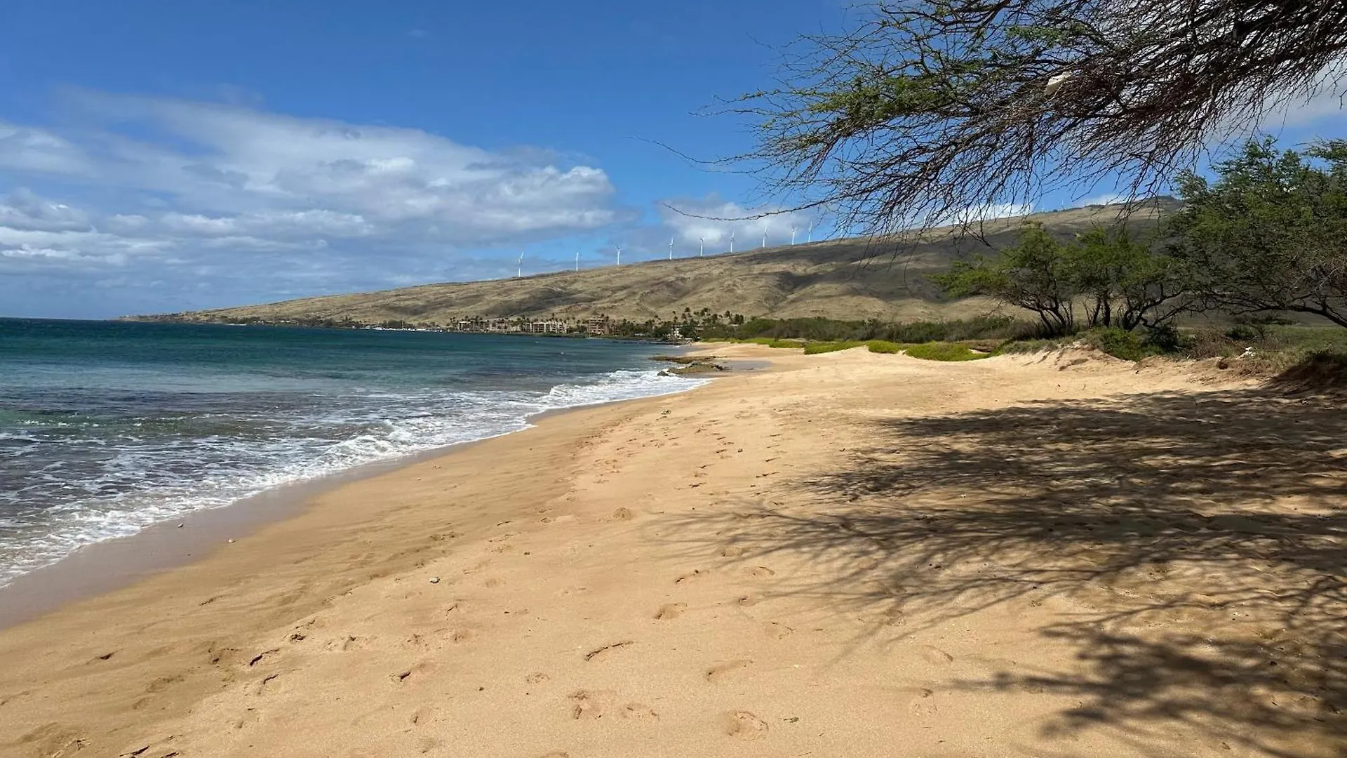 Hono Kai A5 Casa de Férias Wailuku