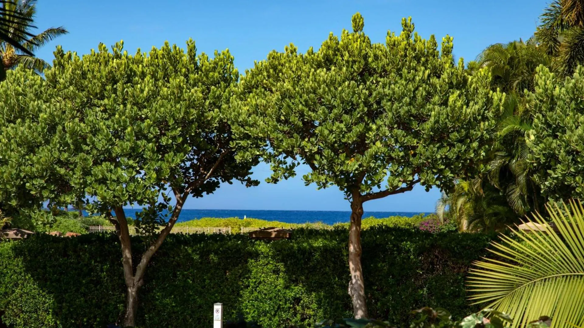 Kbm Resorts Free Car Maui Kaanapali Mkv-C152 Apartman Kaanapali