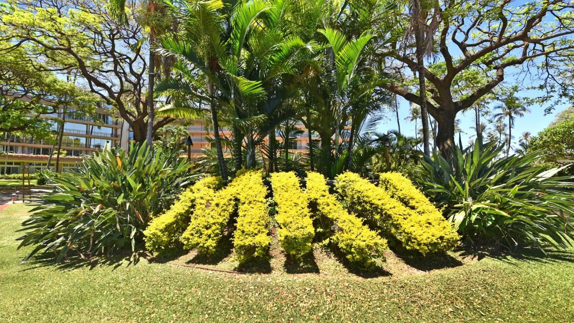 Kbm Free Car Maui Mkv-kvb-247 Renovated Near Ac * Каанапали