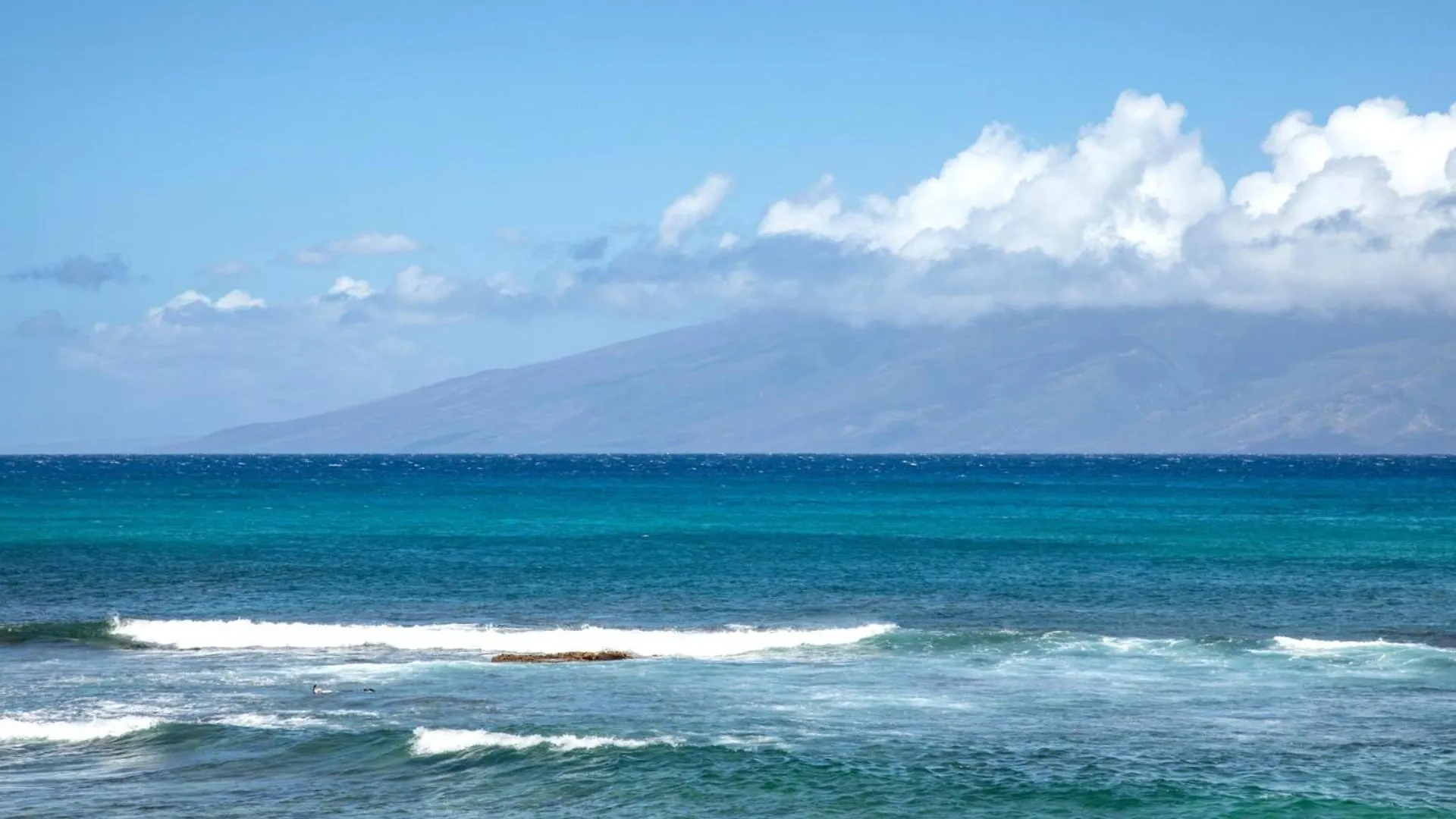 Kbm Resorts: Oceanfront Napili Bay With Turtle Views Kahana
