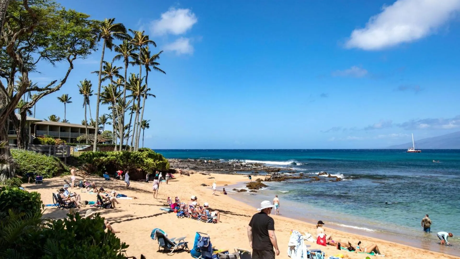 Kbm Resorts: Oceanfront Napili Bay With Turtle Views * Kahana
