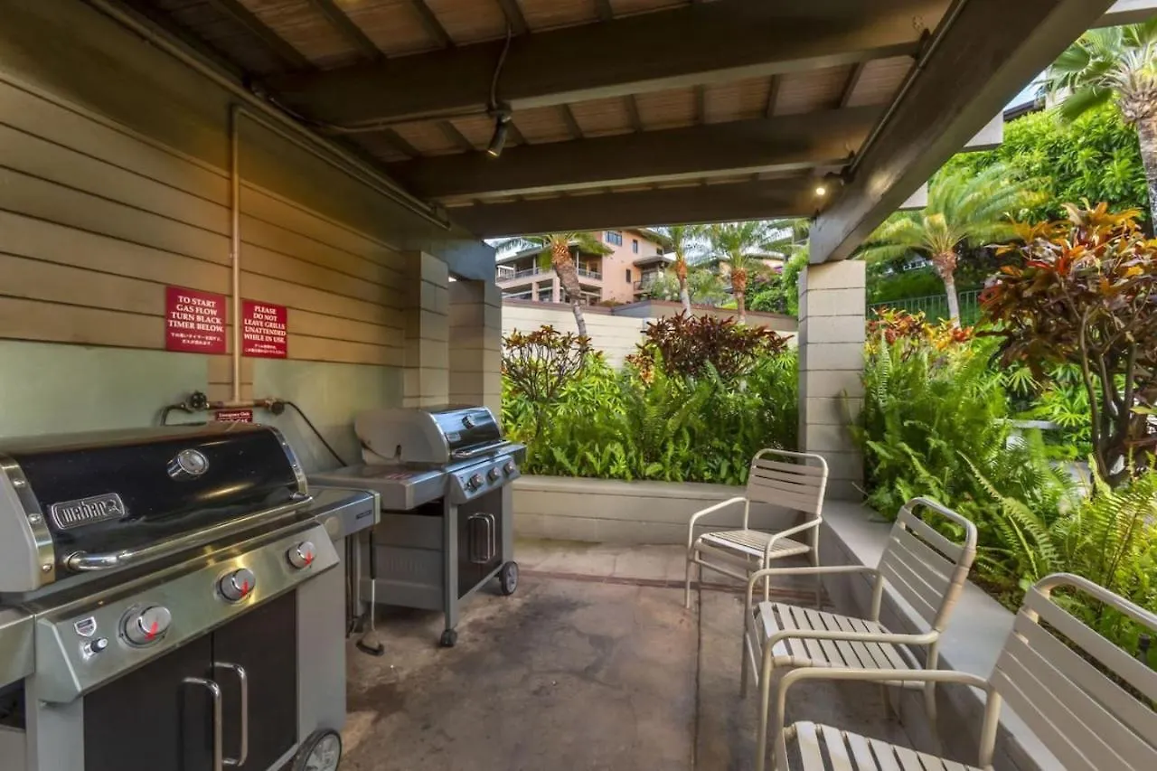 Gorgeous Kapalua With Views Apartment