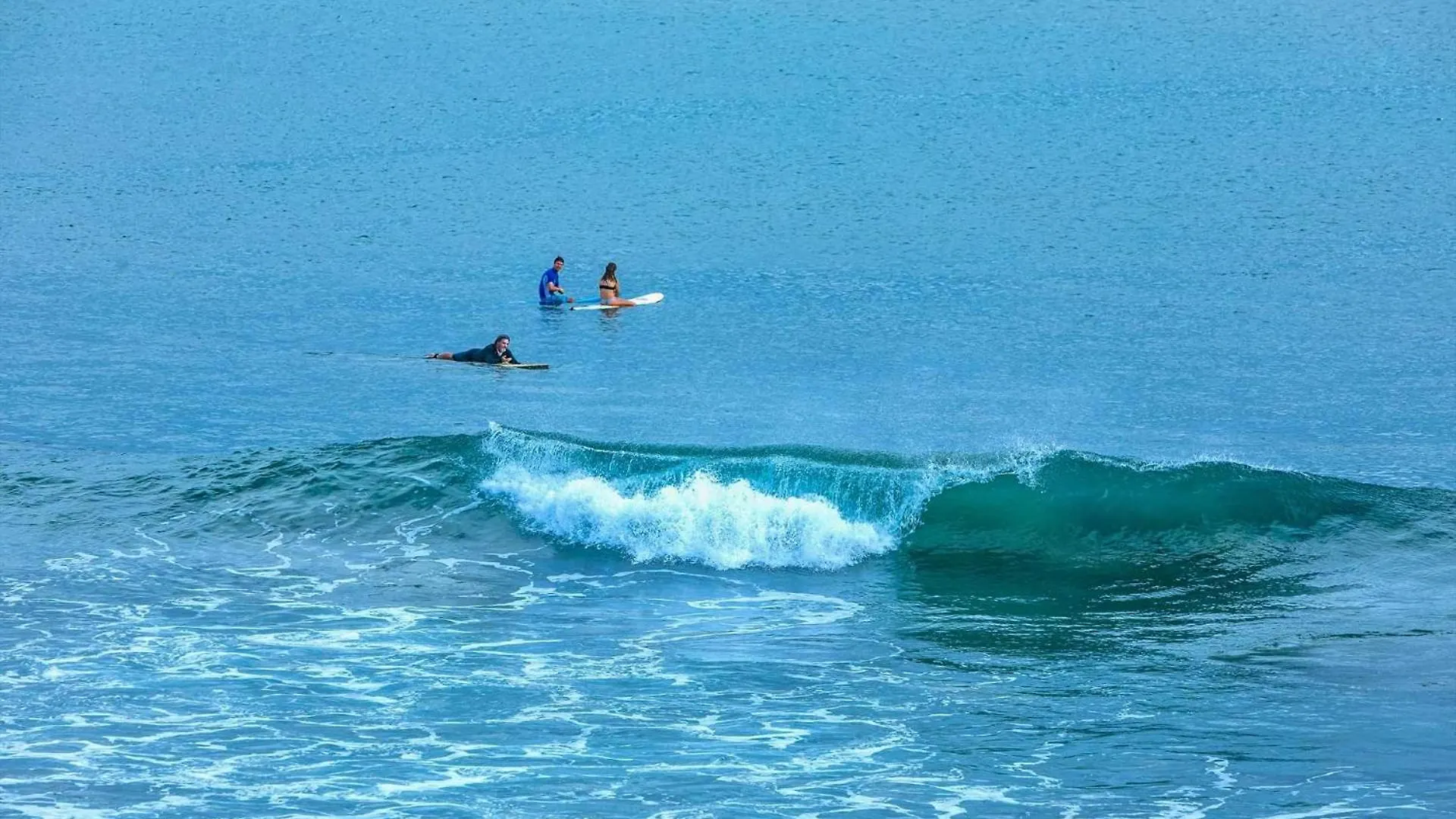 Island Sands 206 *