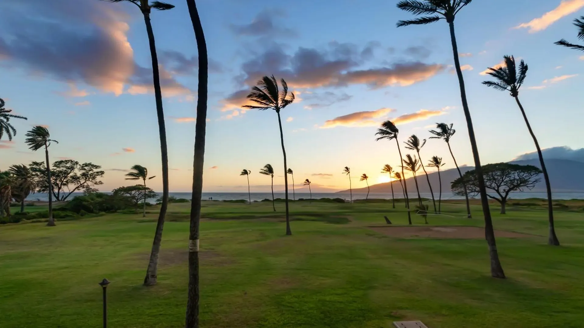 Hip Hawaiian Seaside Vistas