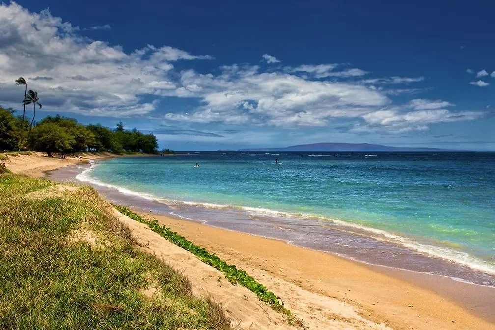 Hip Hawaiian Seaside Vistas Kihei