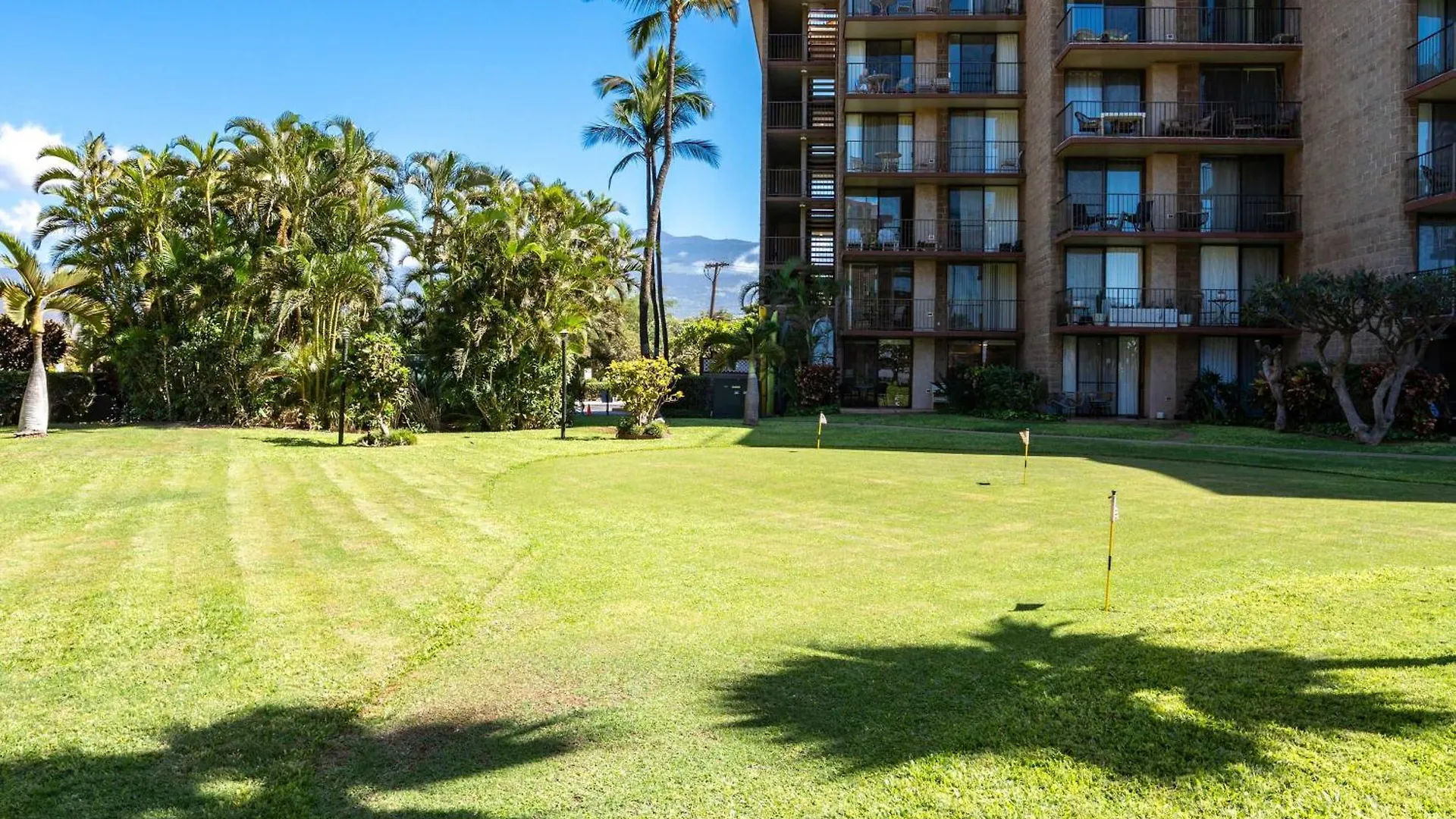 Hip Hawaiian Seaside Vistas *