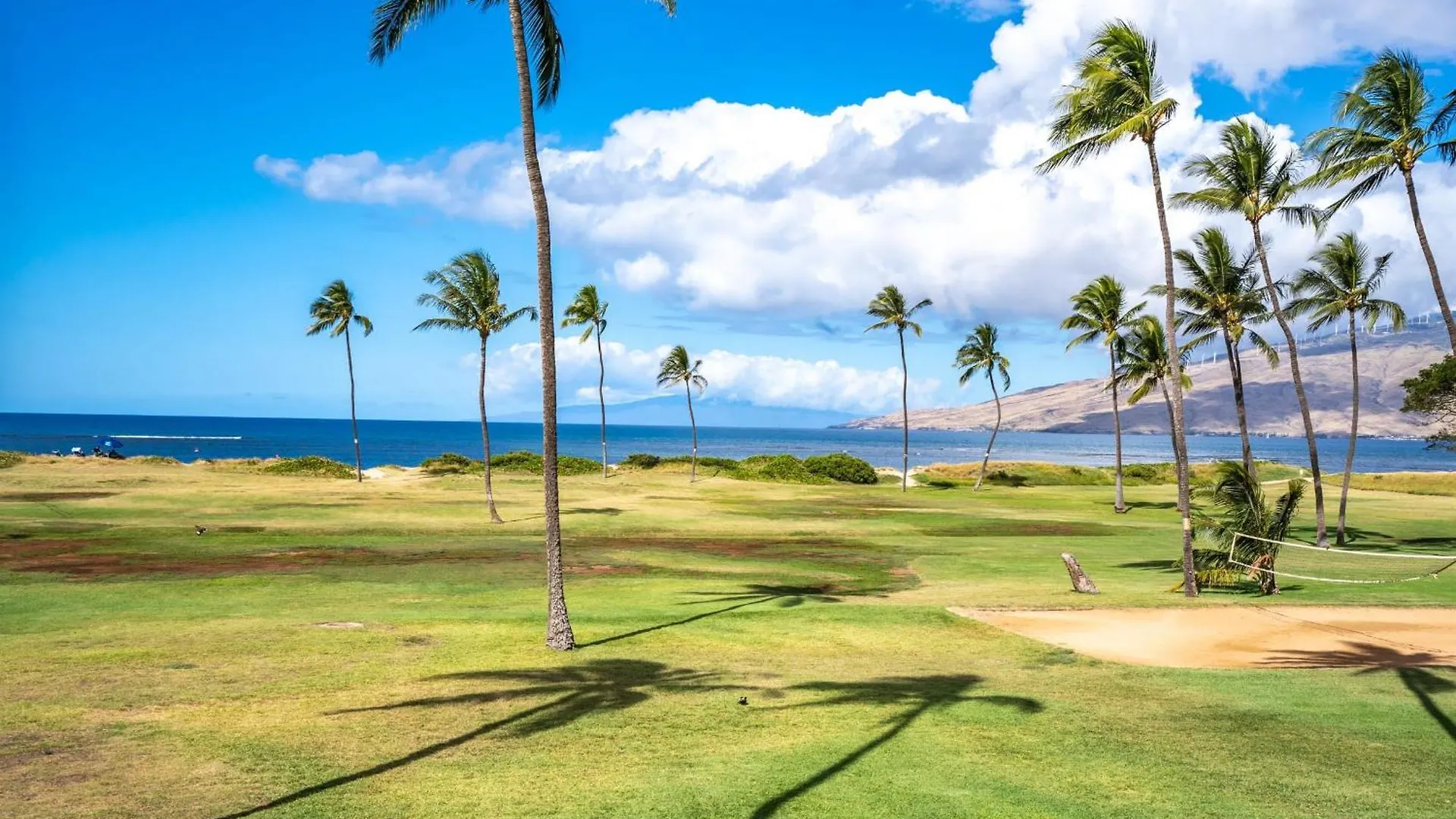 Hip Hawaiian Seaside Vistas *