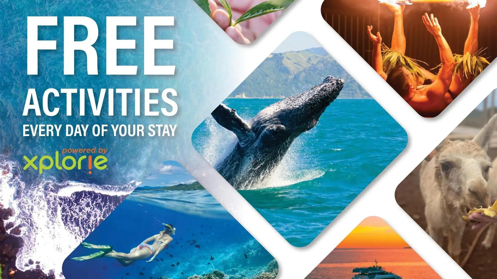 Ekahi 32b Holiday home *