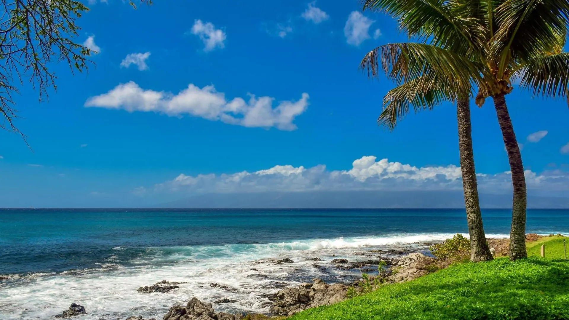 Napili Point A9 Holiday home