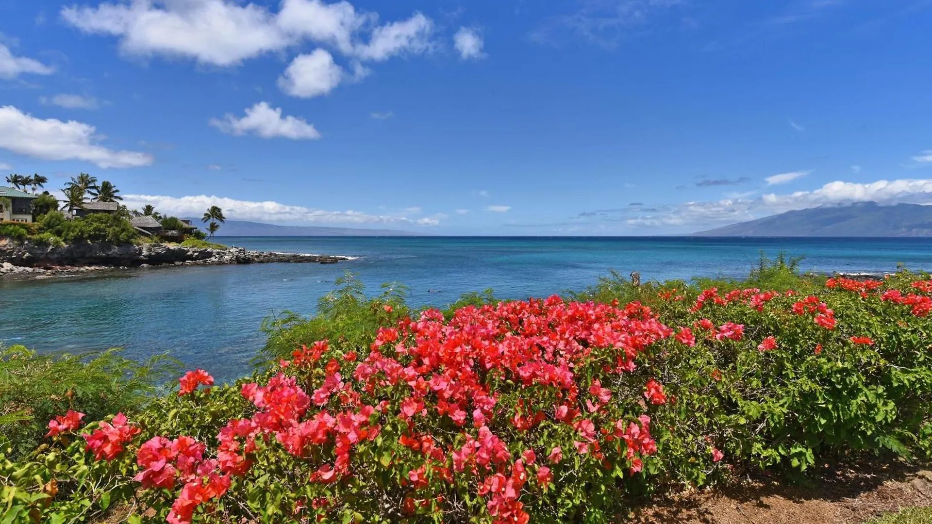Holiday home Napili Point A9 *