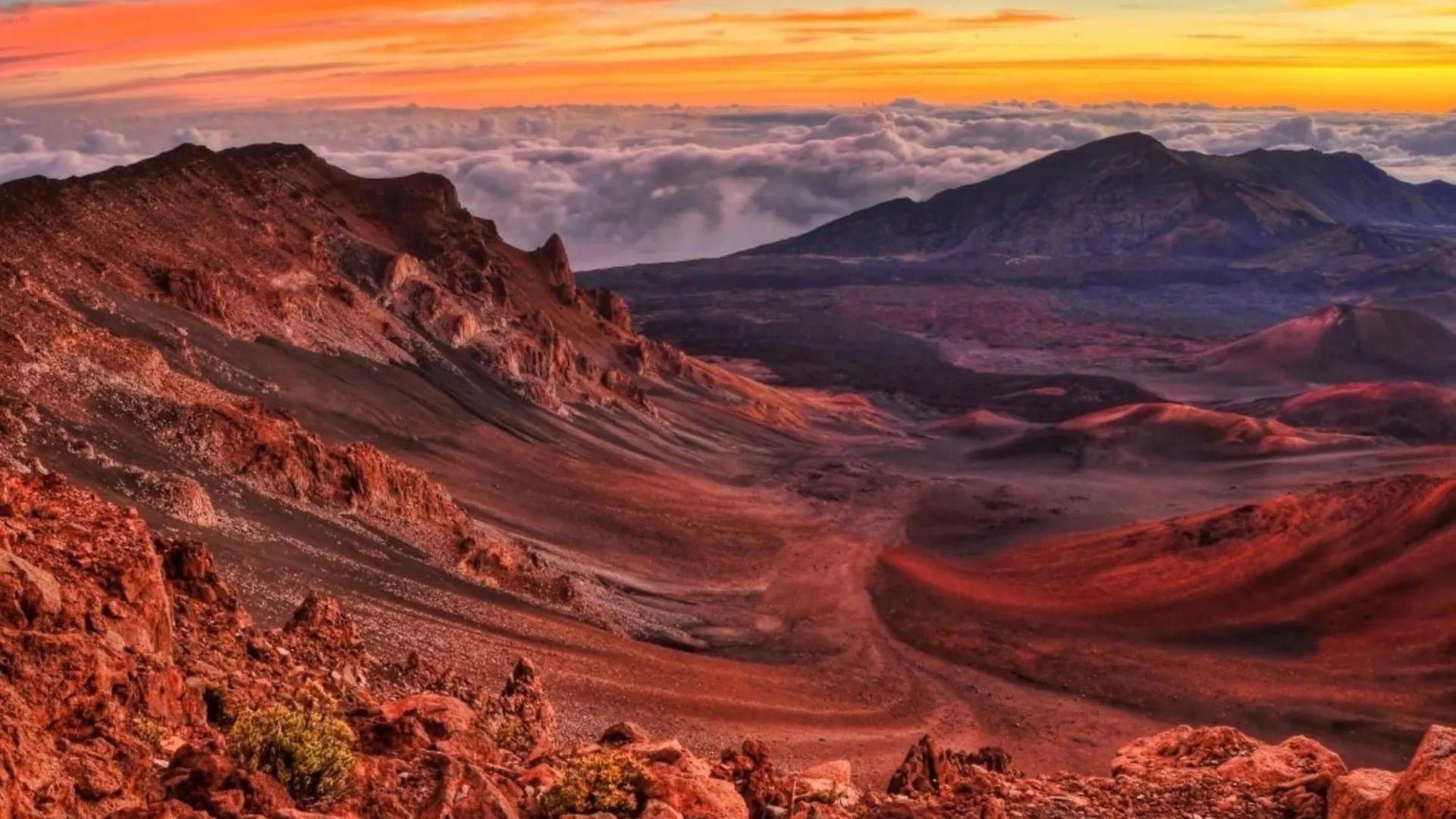 Napili Point C40 Hébergement de vacances Kahana