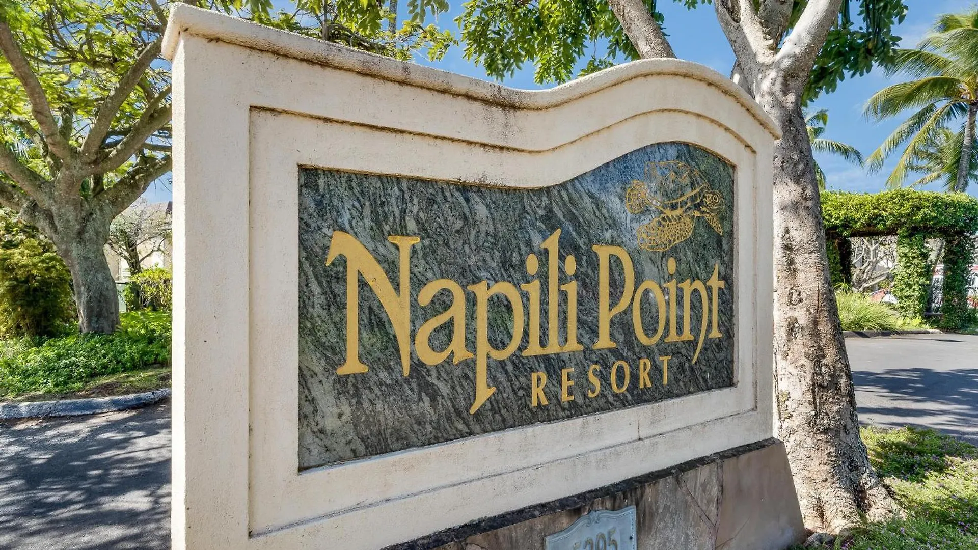 Napili Point C40 Hébergement de vacances Kahana