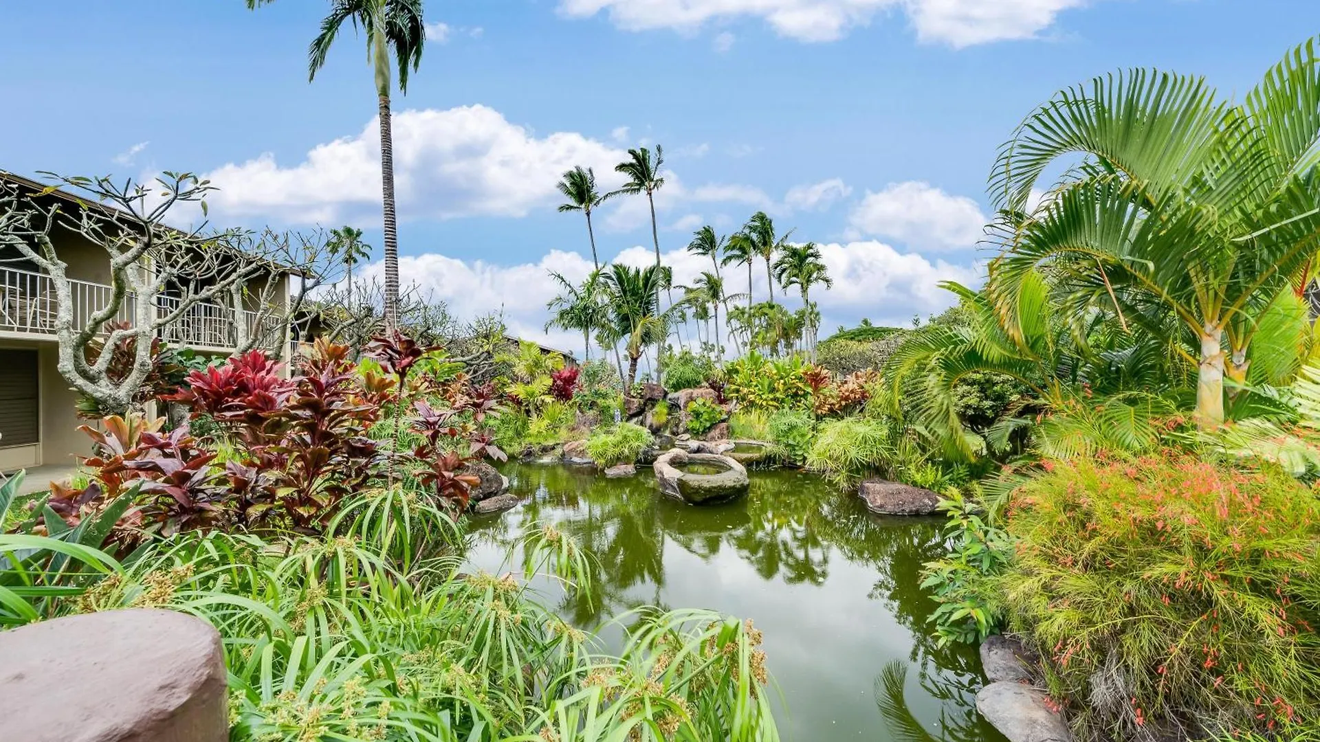 Napili Shores F246