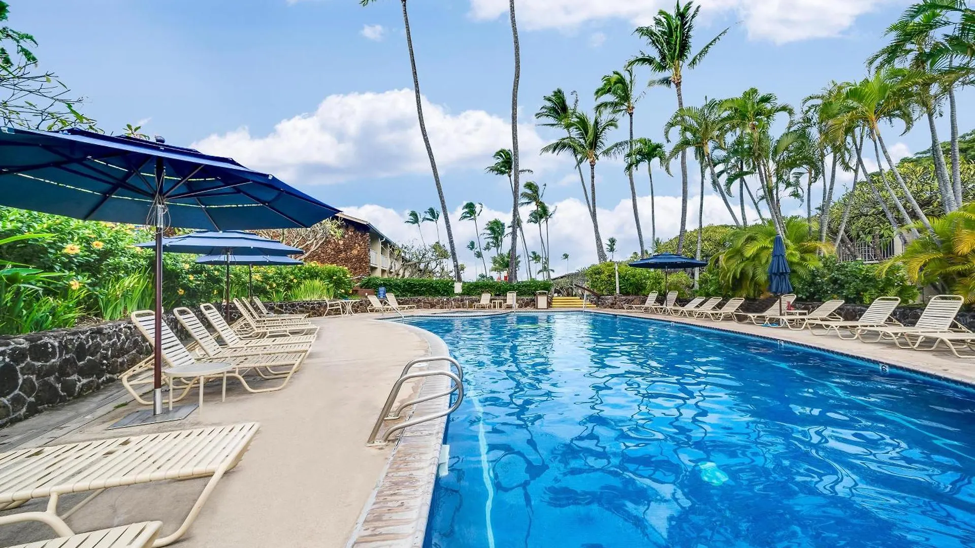 Napili Shores E240 *