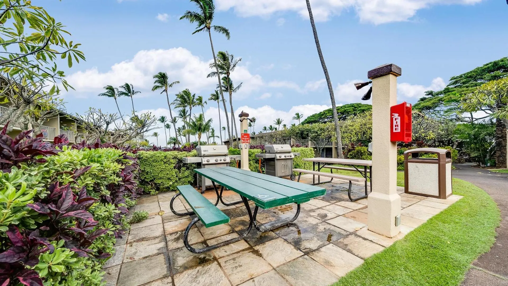 Napili Shores F246