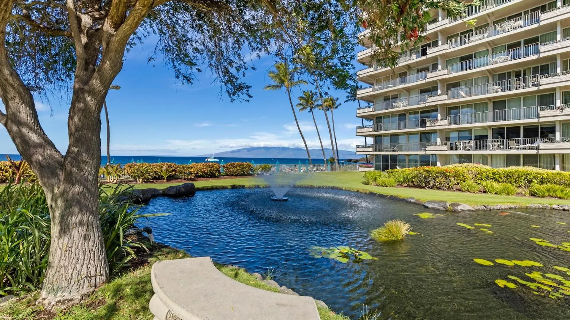 Whaler 508- Fully Remodeled Whaler Condo, Stunning Kaanapali Black Rock View Лахайна