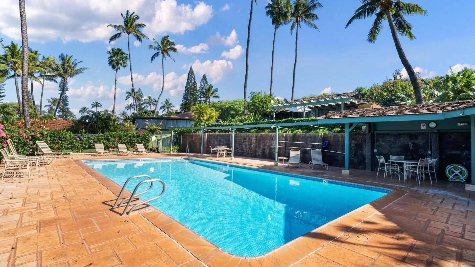 International Colony Club 37