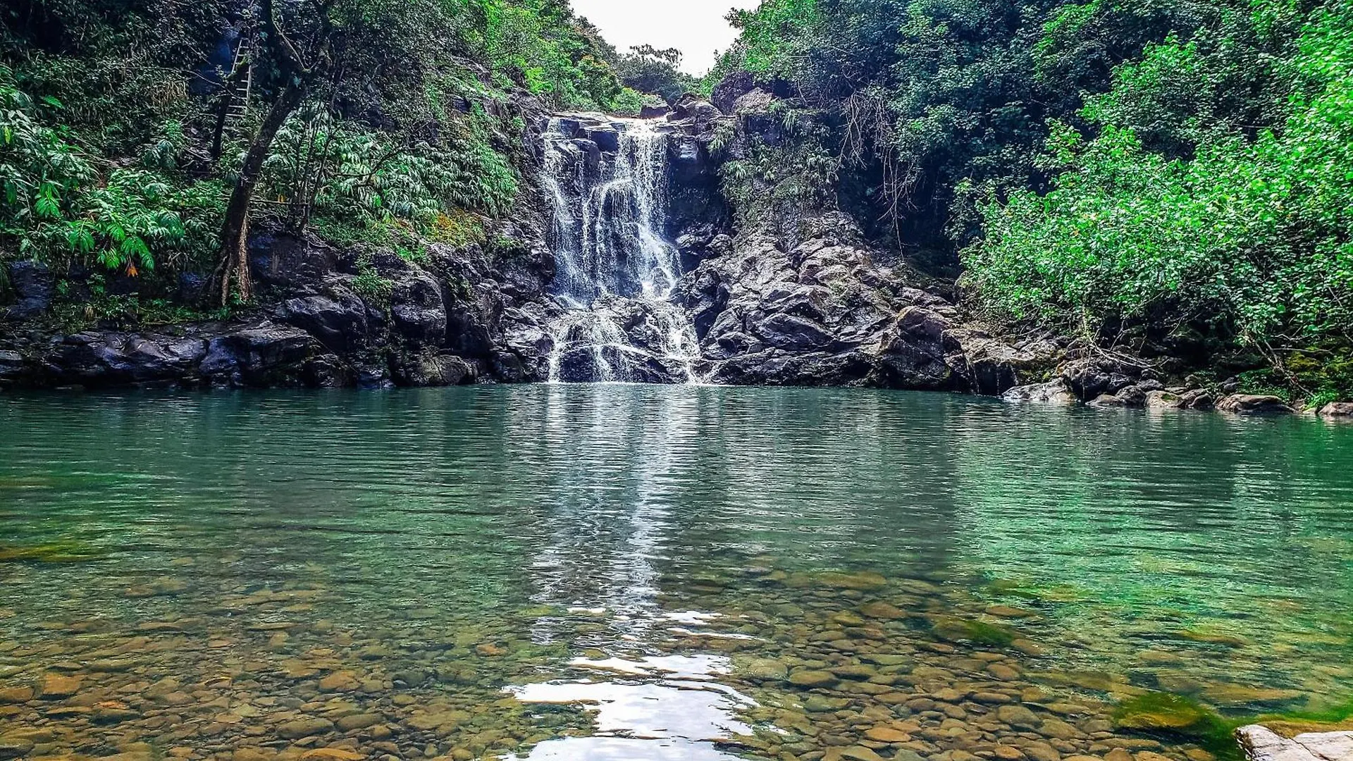 아파트 Napili Shores C116