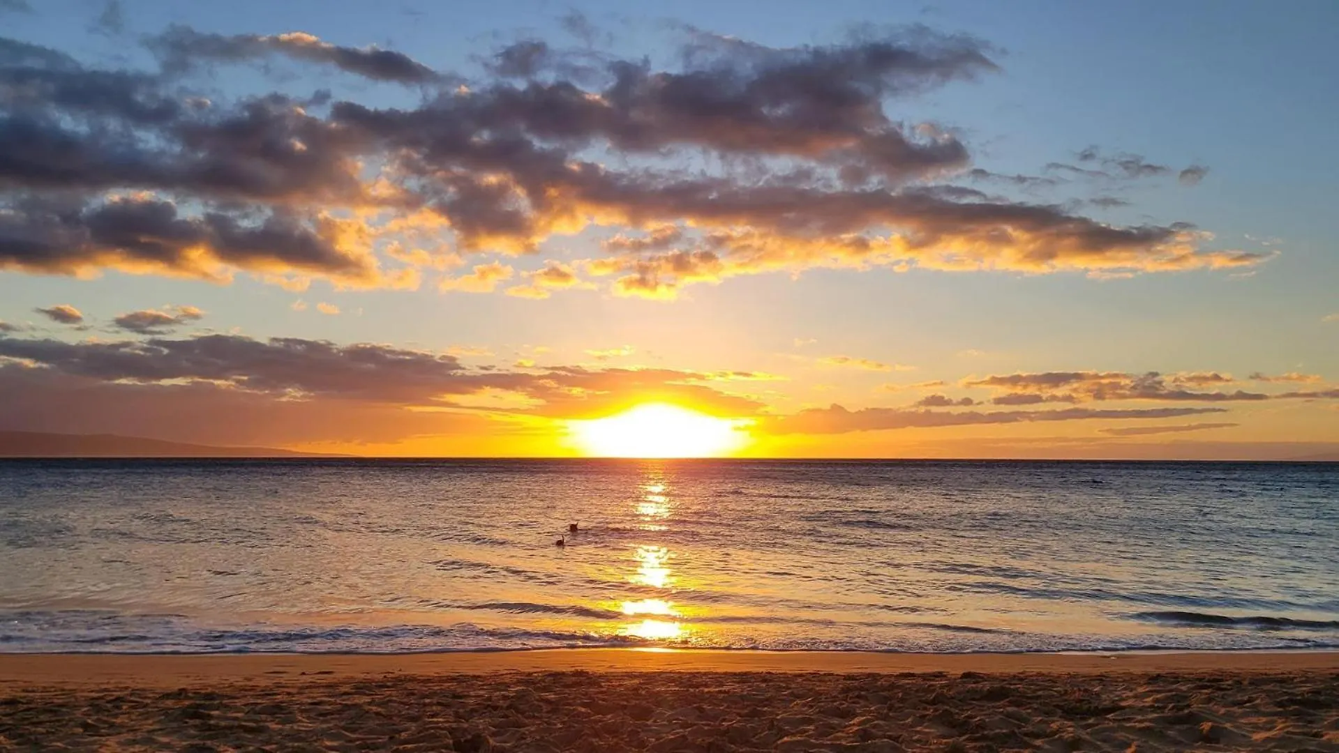 Maui Vista 1410 בית נופש *