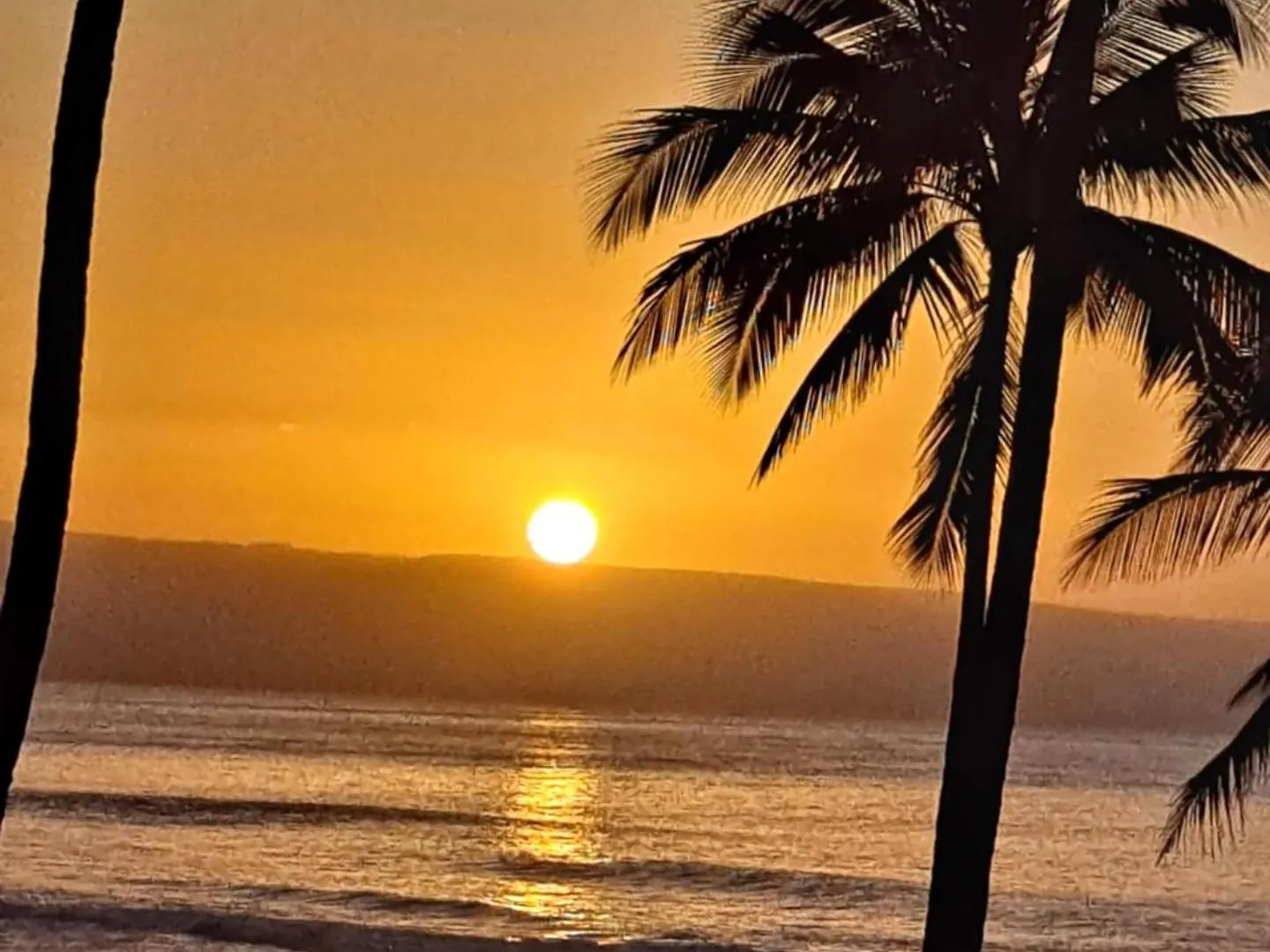 Kbm Free Car Paki Maui Pm-409 Stunning Ocean Front Penthouse