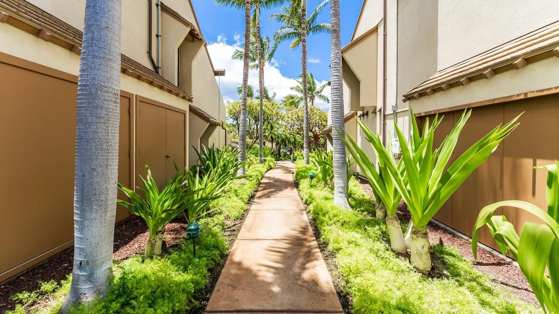 New Luxury, Family 2-2, Walk To Beach, Ocean View Lsv12 Daire