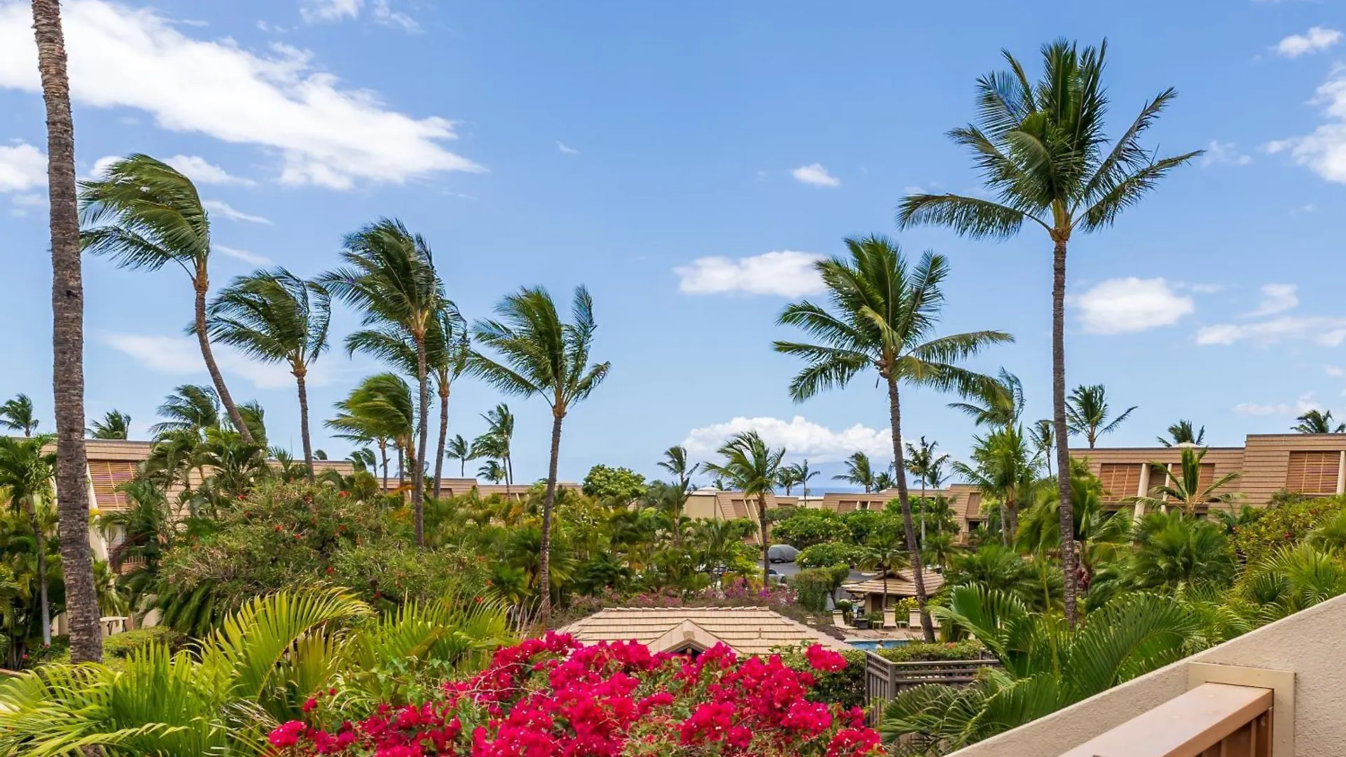 New Luxury, Family 2-2, Walk To Beach, Ocean View Lsv12