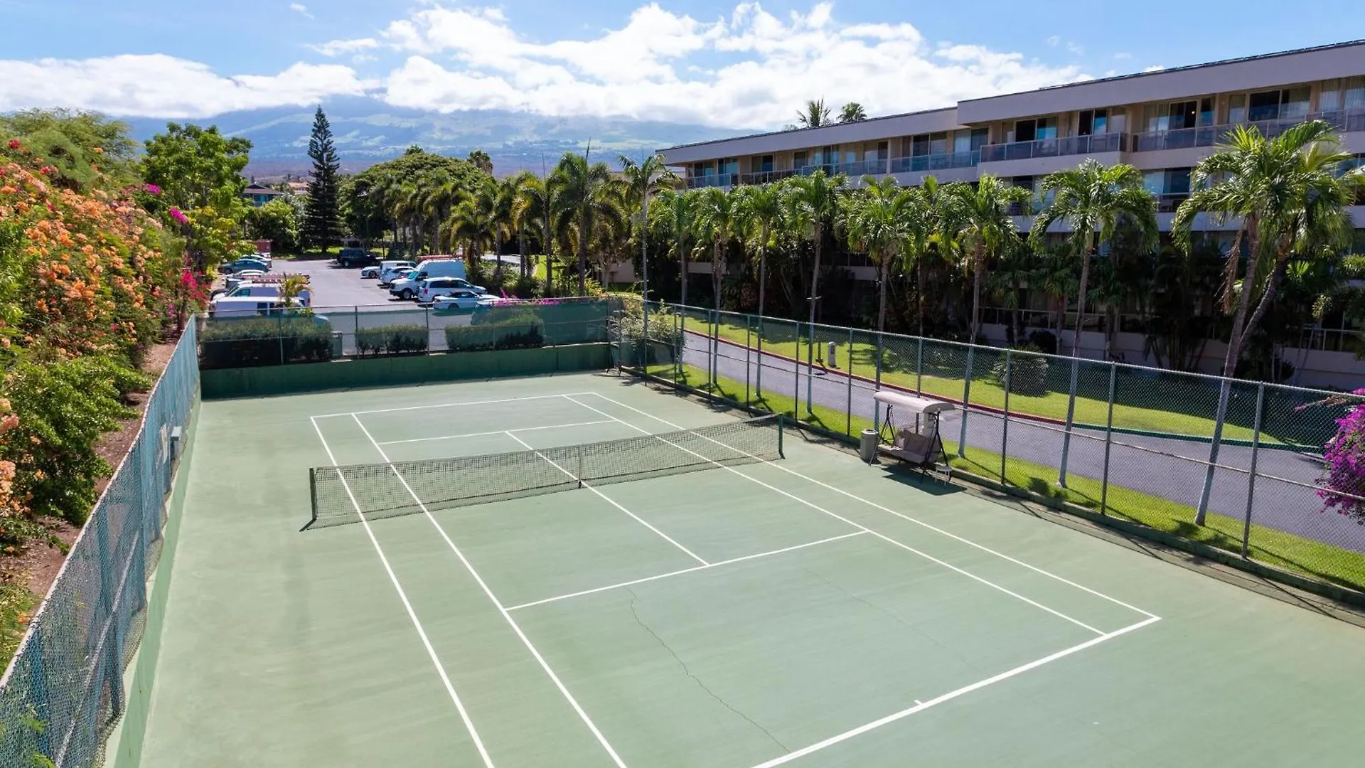 Maui Banyan H-210