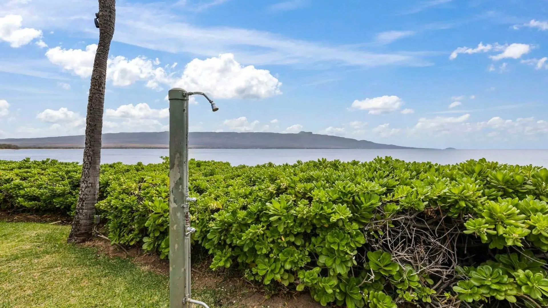 Oceanfront With Heated Pool Hot Tub & Lanai 度假居 Wailuku