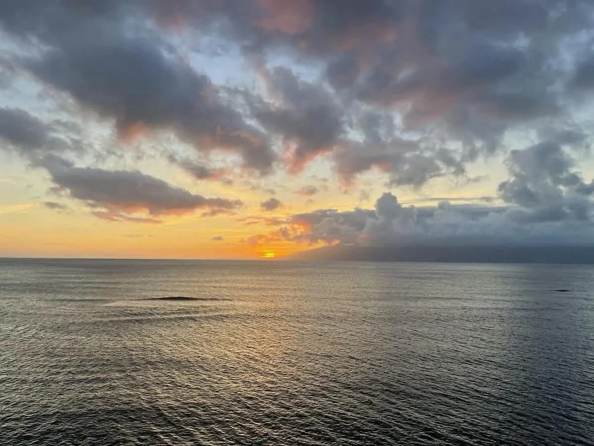 Unforgettable Oceanfront , Nature, Luxury & Tranquility Semesterbostad *
