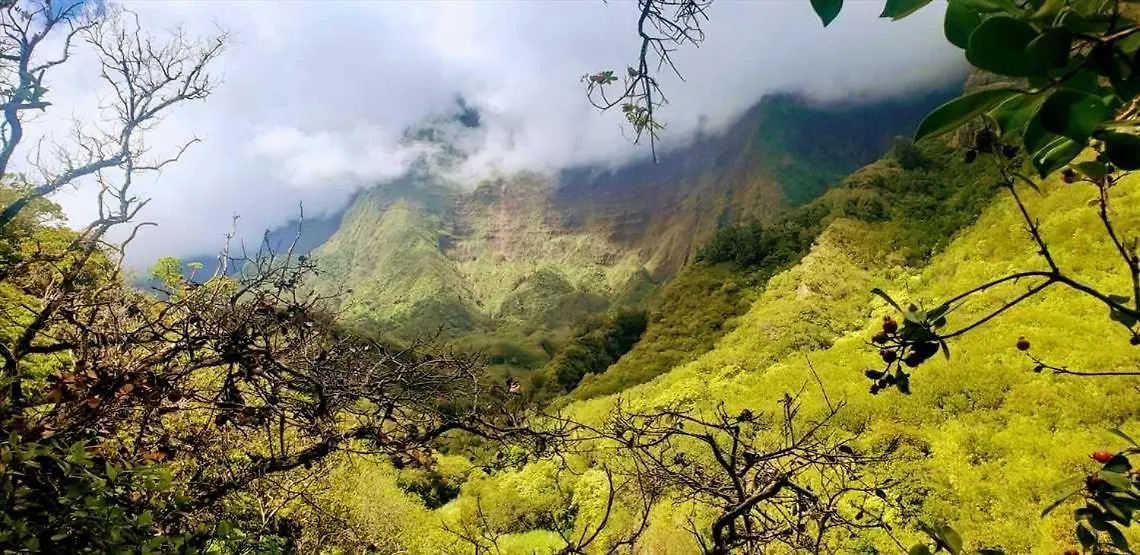 בית נופש Ma'alaea Banyans 209 Wailuku