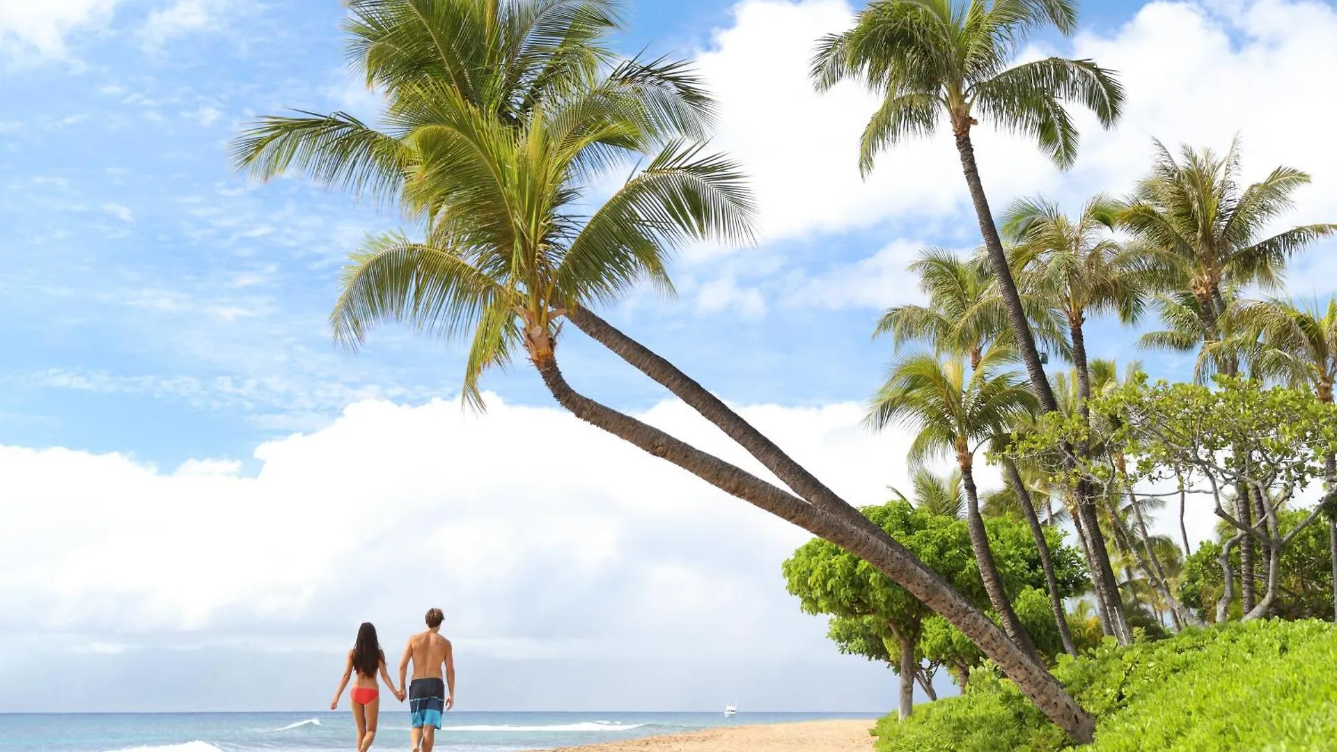 Дом отдыха Oceanfront Views Above Dukes - Wrap Around Lanai - Outdoor Kitchen Honua Kai H351 *