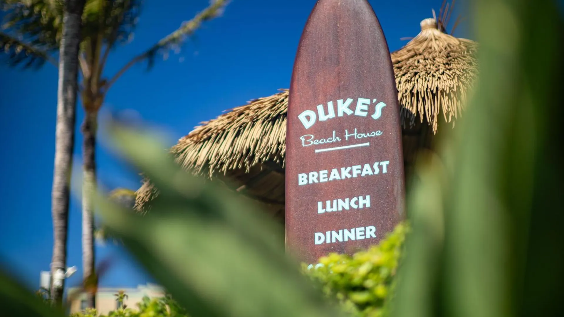Oceanfront Views Above Dukes - Wrap Around Lanai - Outdoor Kitchen Honua Kai H351 Дом отдыха Лахайна