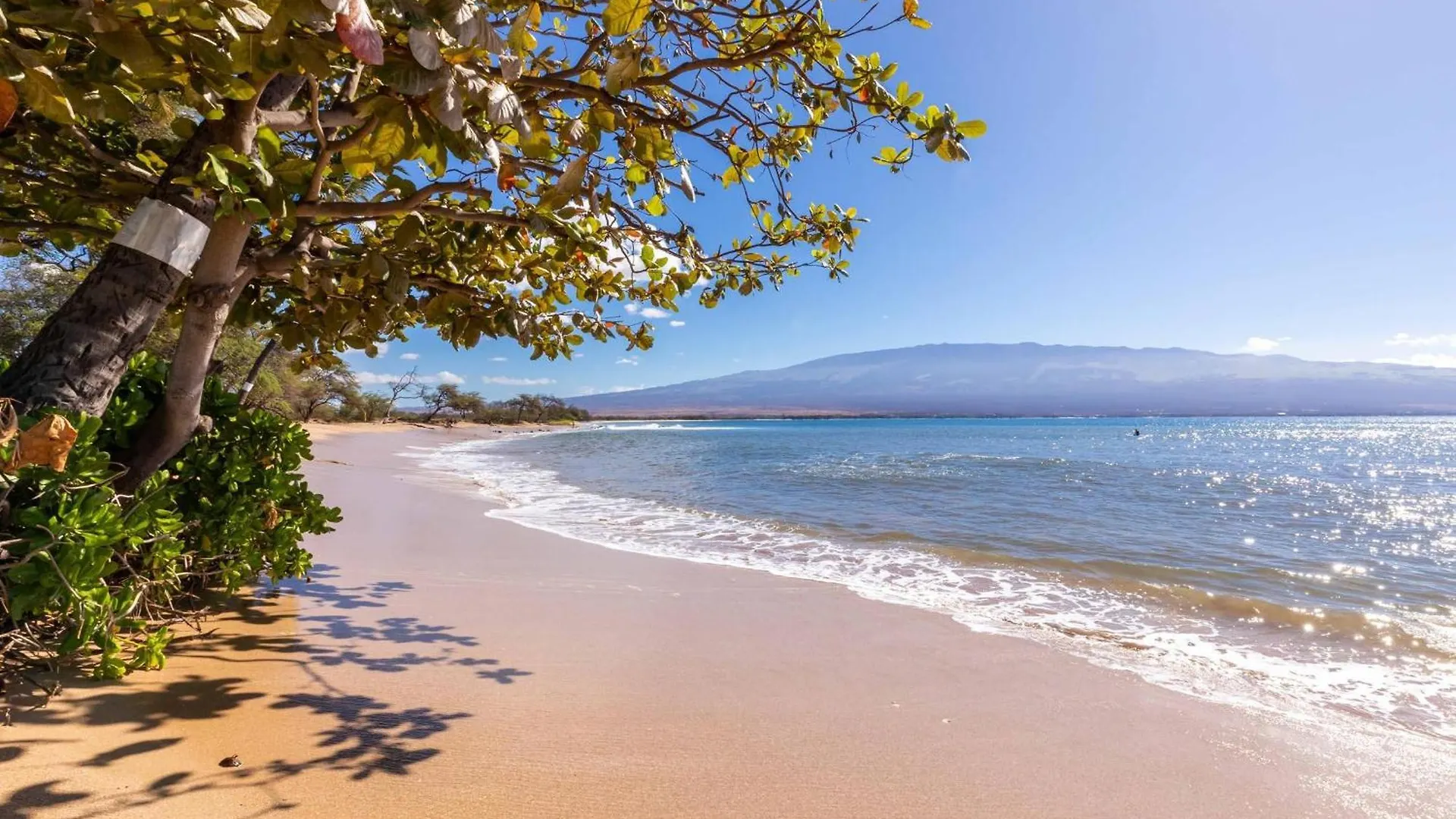 Makani A Kai B-7 Wailuku