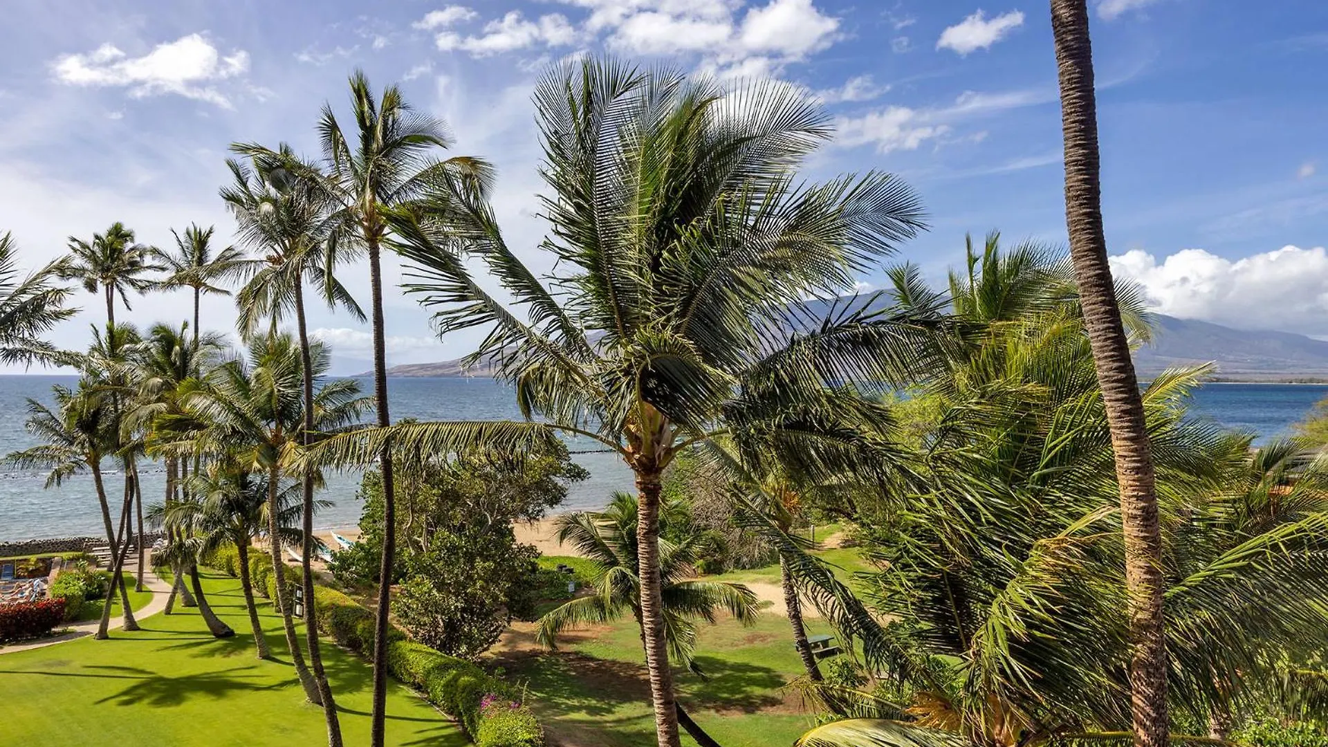Oceanfront Modern & Elegant Vistas * Kihei