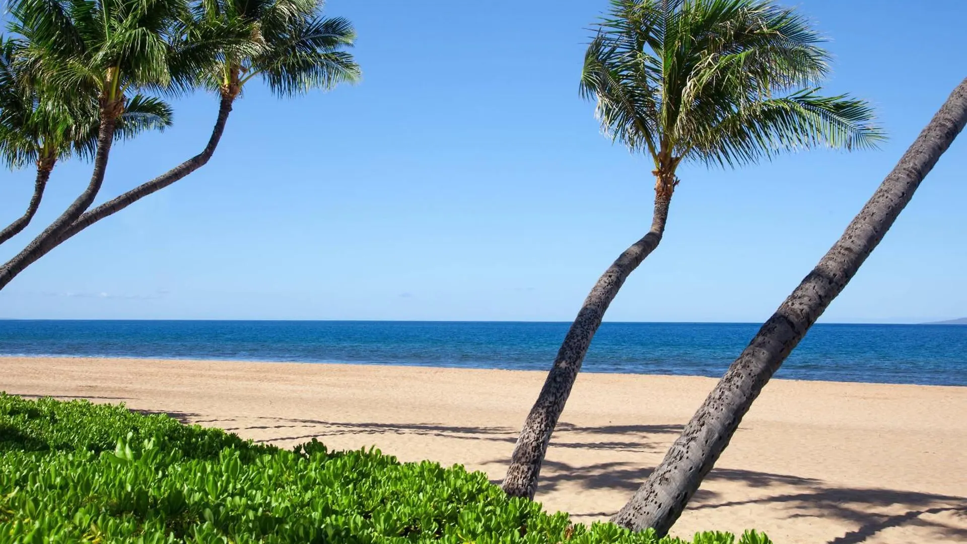 Marriott's Maui Ocean Club - & Napili Towers Lahaina