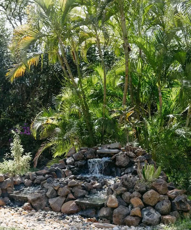 Lejlighedshotel Walk To Beach From This Renovated Studio With King Bed And Resort-Level Amenities