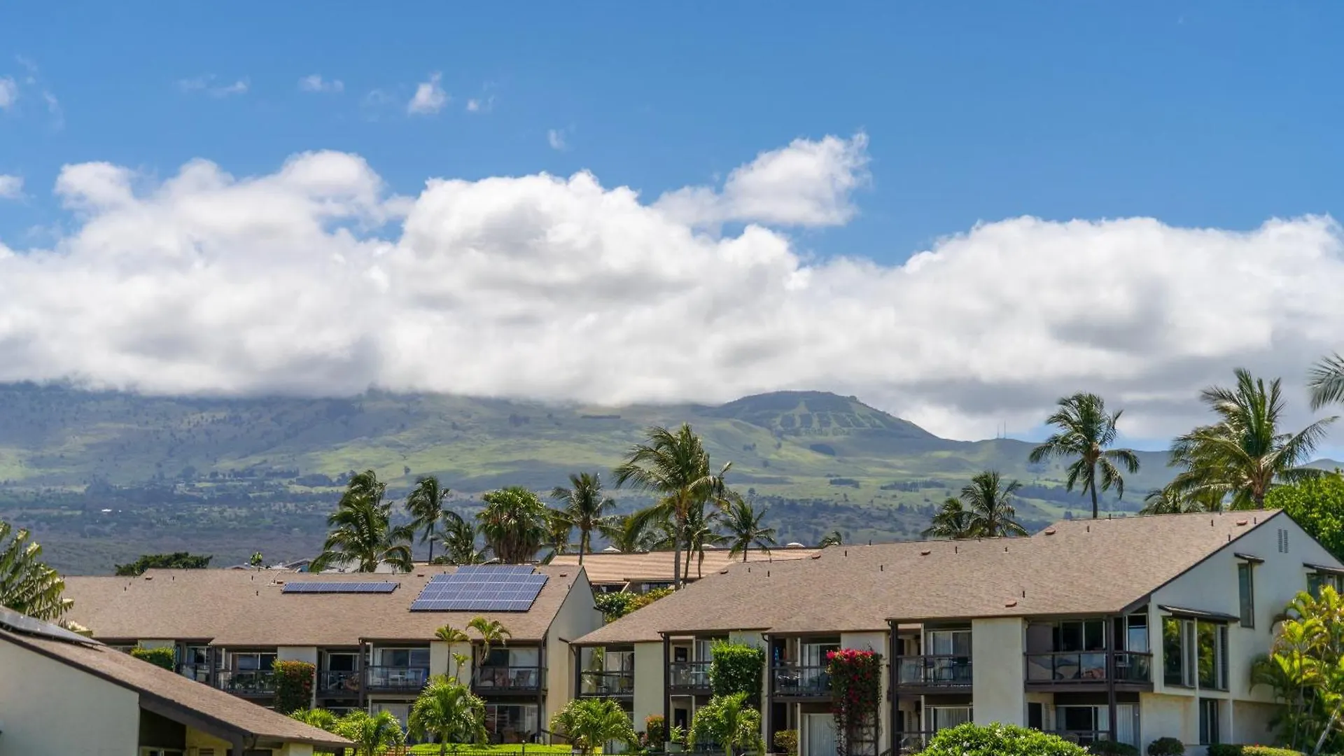 Hale Kamaole 241 * Wailea (Maui)