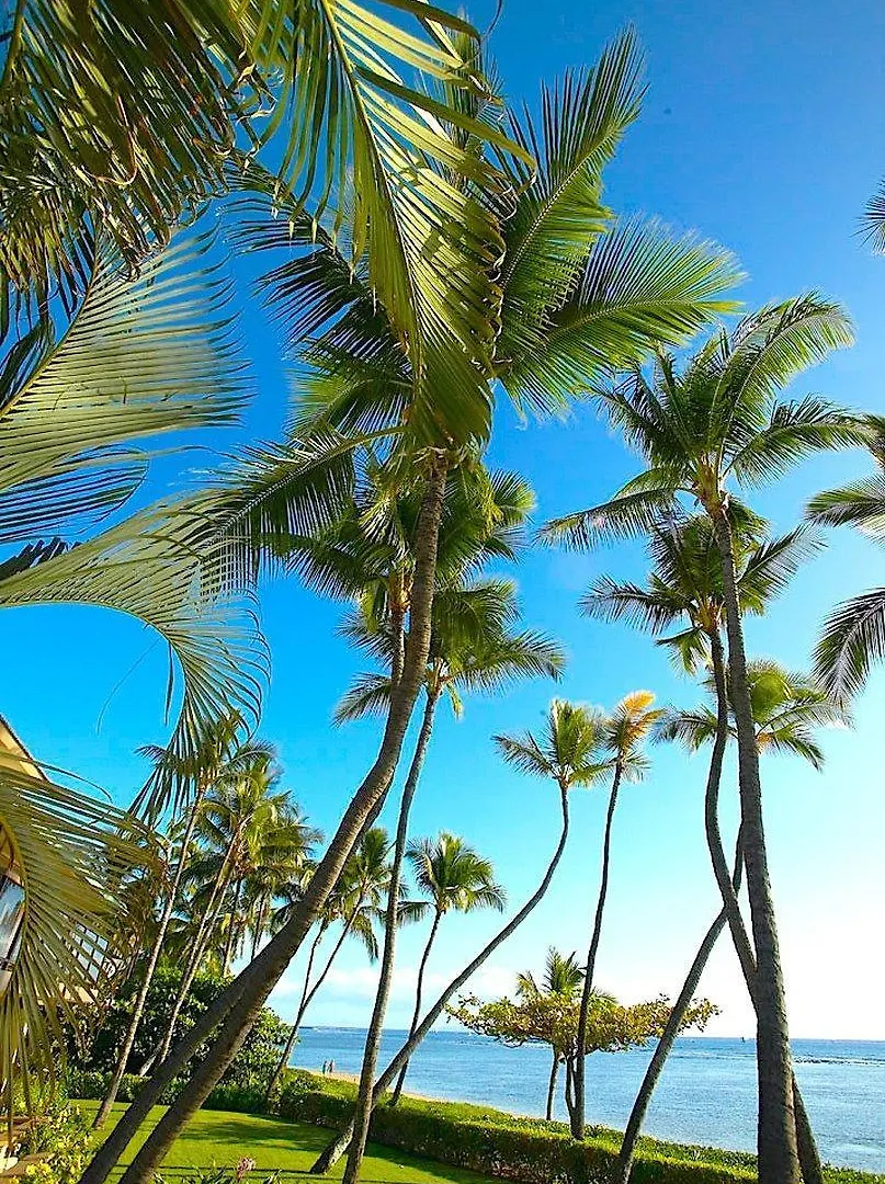 Puunoa Estates, A Destination By Hyatt 4* Lahaina