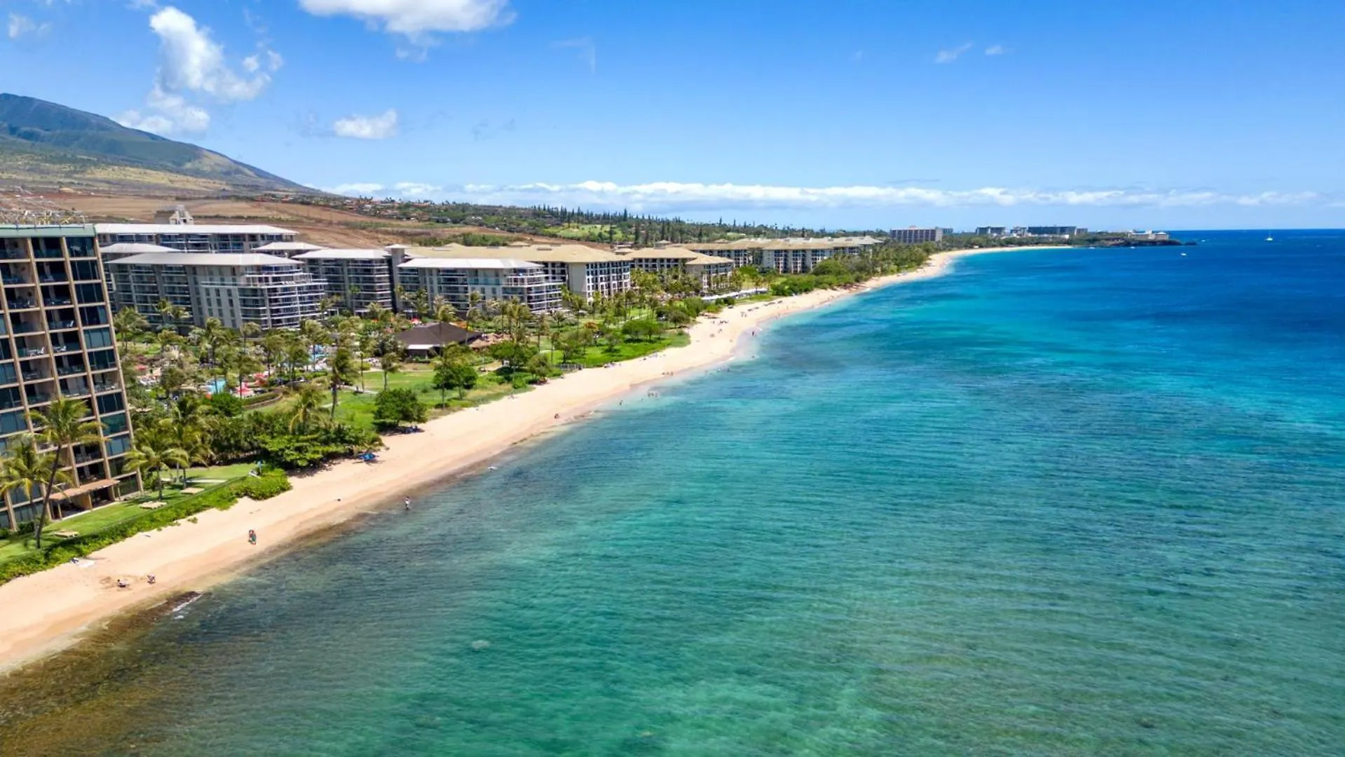 Apartment Kbm Free Car Mahana Mah-719 Stunning Ocean Front