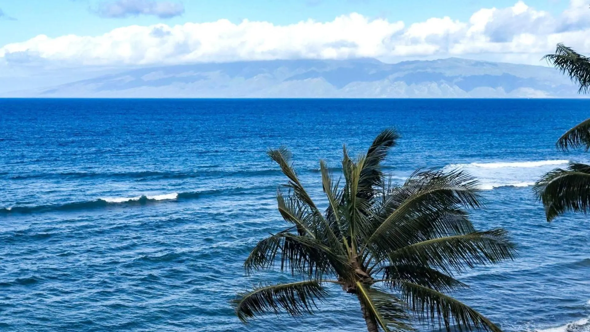 Apartment Kbm Free Car Mahana Mah-719 Stunning Ocean Front *