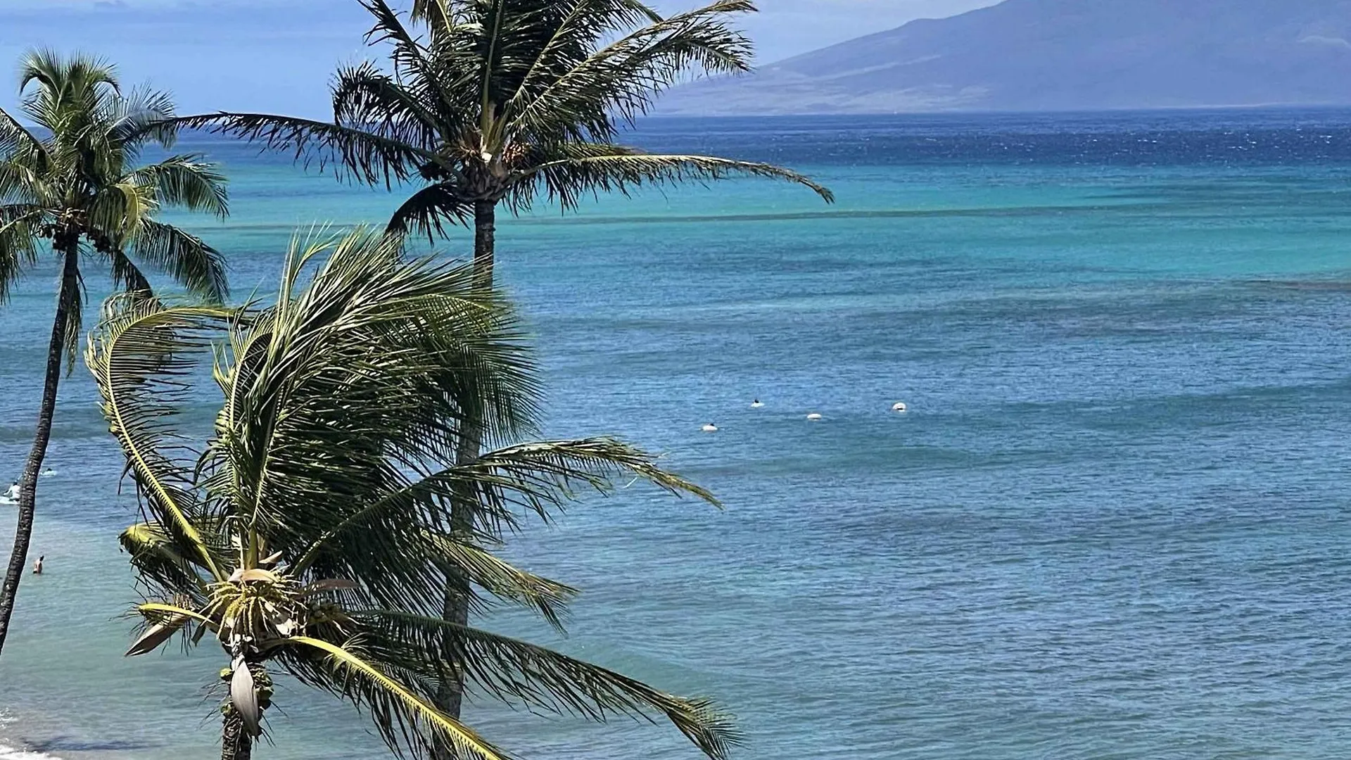 Unforgettable Oceanfront , Nature, Luxury & Tranquility Semesterbostad