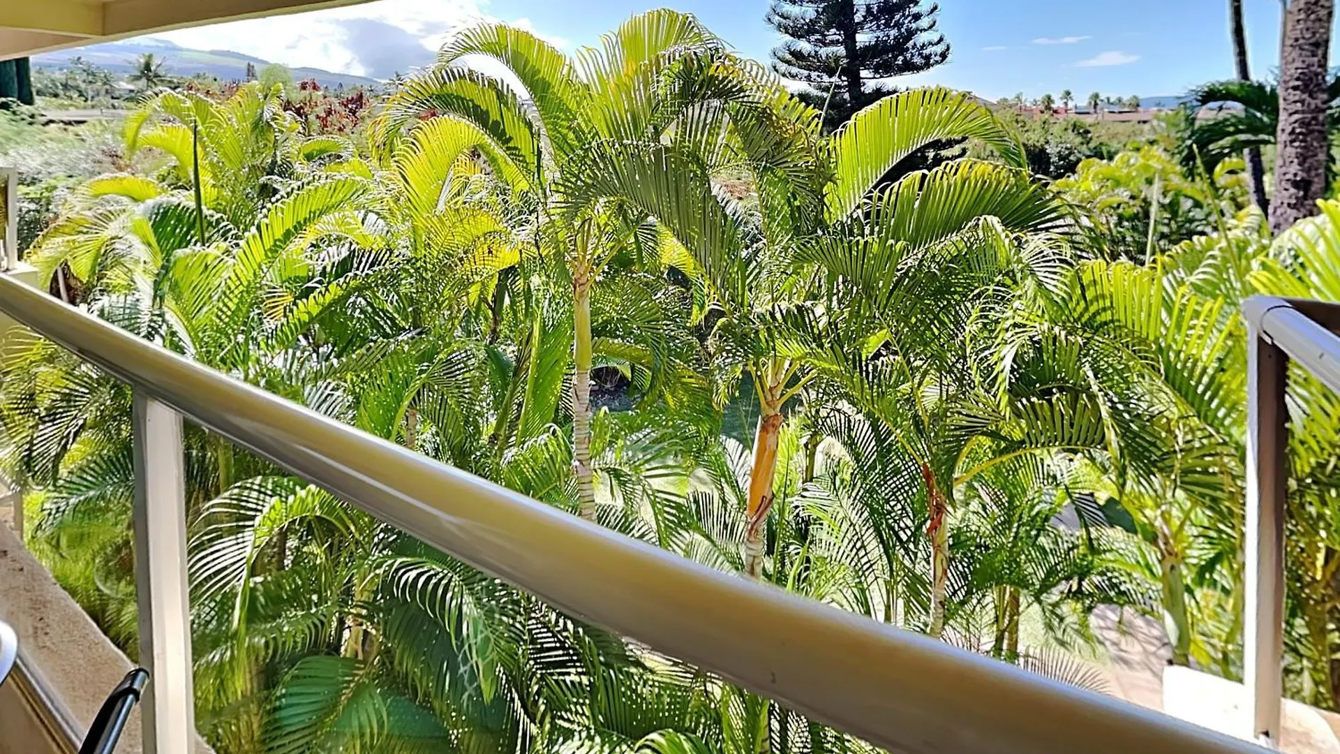Maui Banyan T-305a Wailea (Maui)