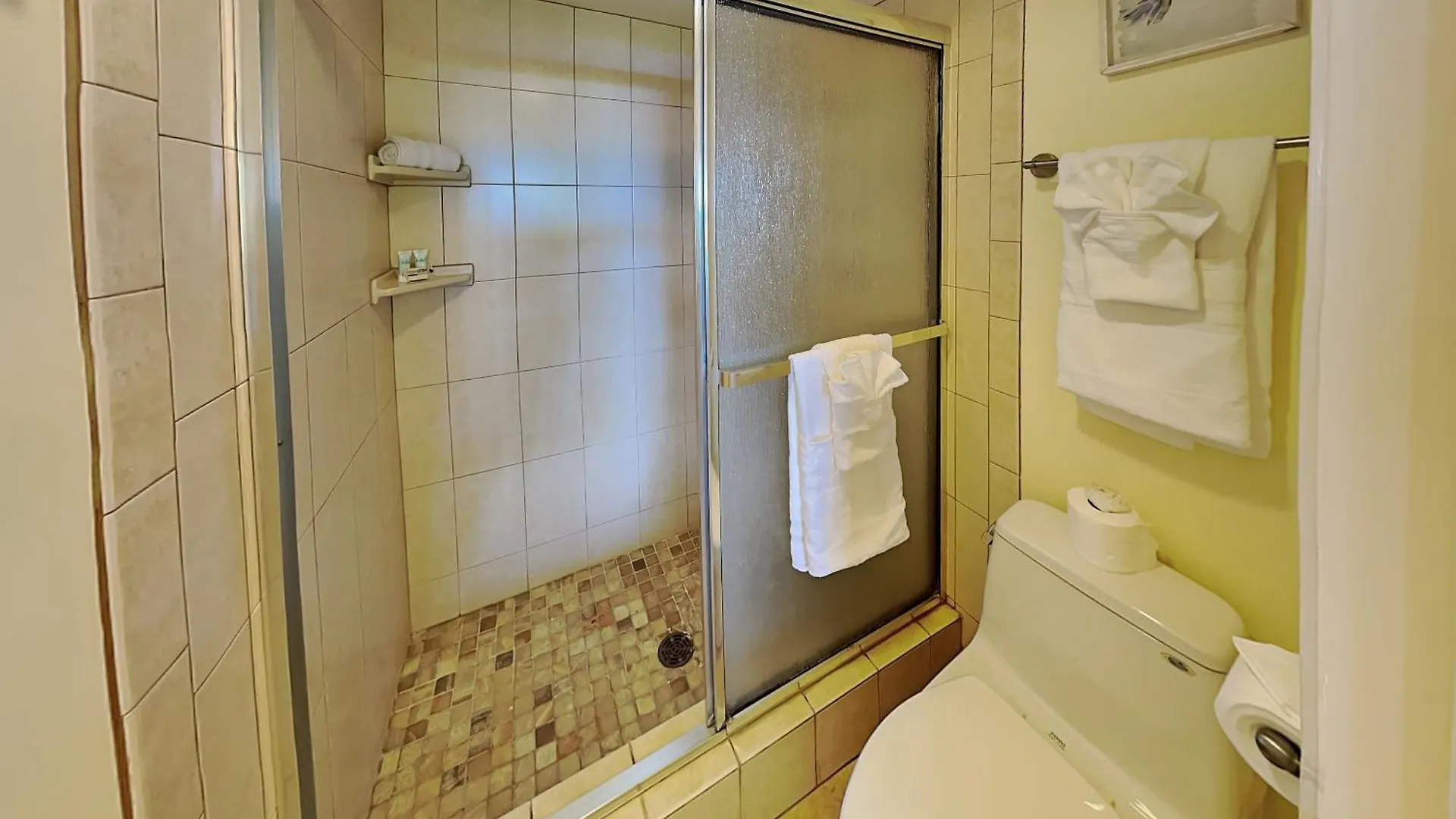 Maui Banyan T-305a Daire