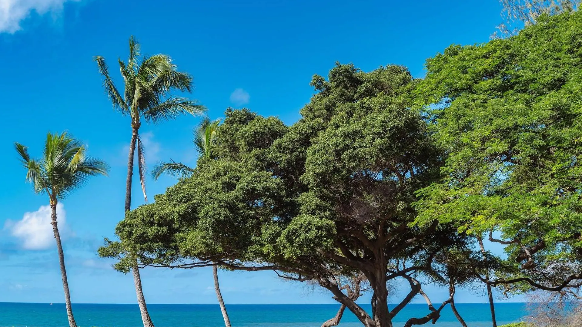 Haleakala Shores A-302 Casa vacanze *
