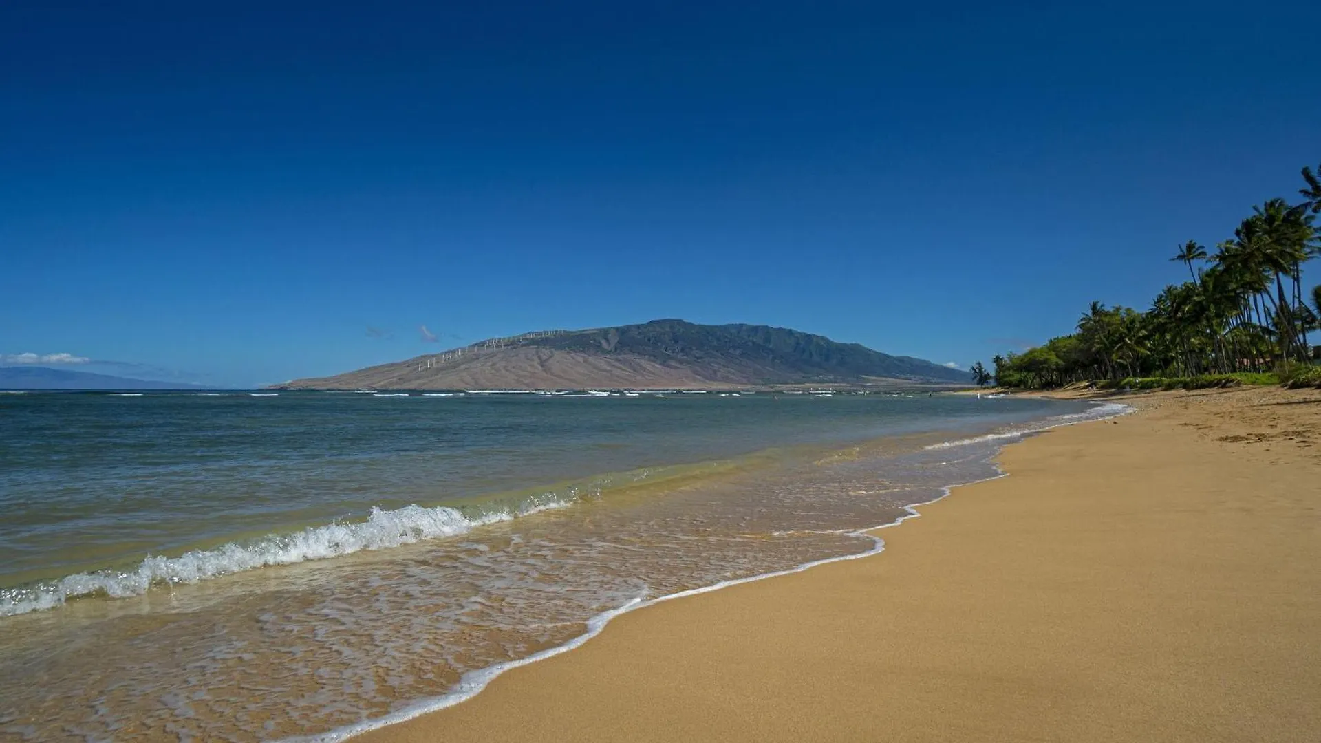 Waiohuli Hale C212 Holiday home Kihei