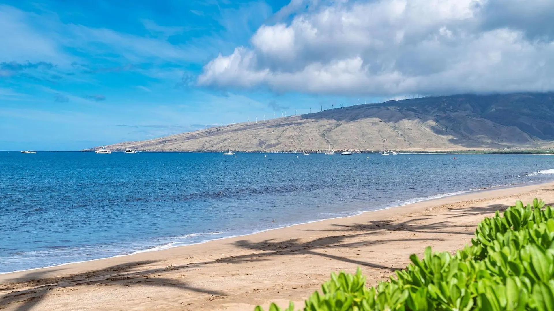 606 Holiday home Kihei