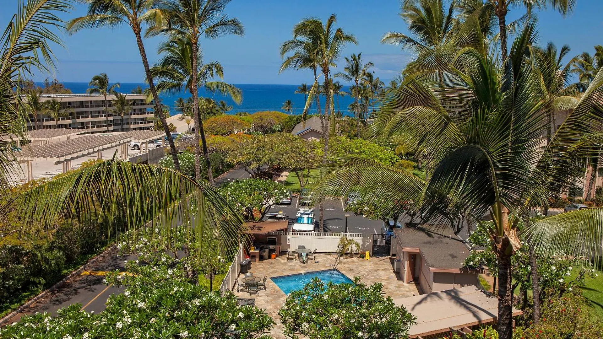 Akahi D209 - Mch * Kihei