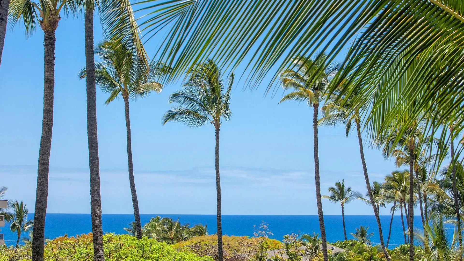 Akahi C519 - Mch * Kihei