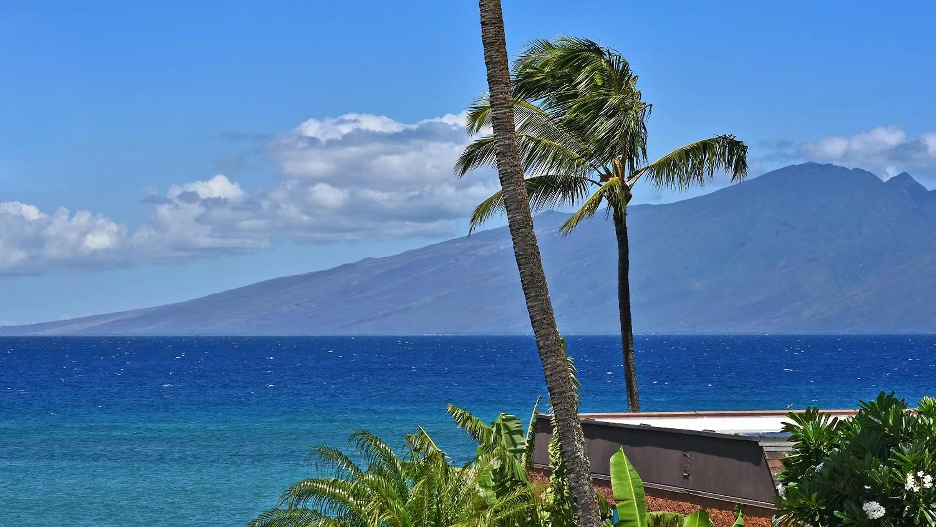 Oceanfront Kuleana Special!!!