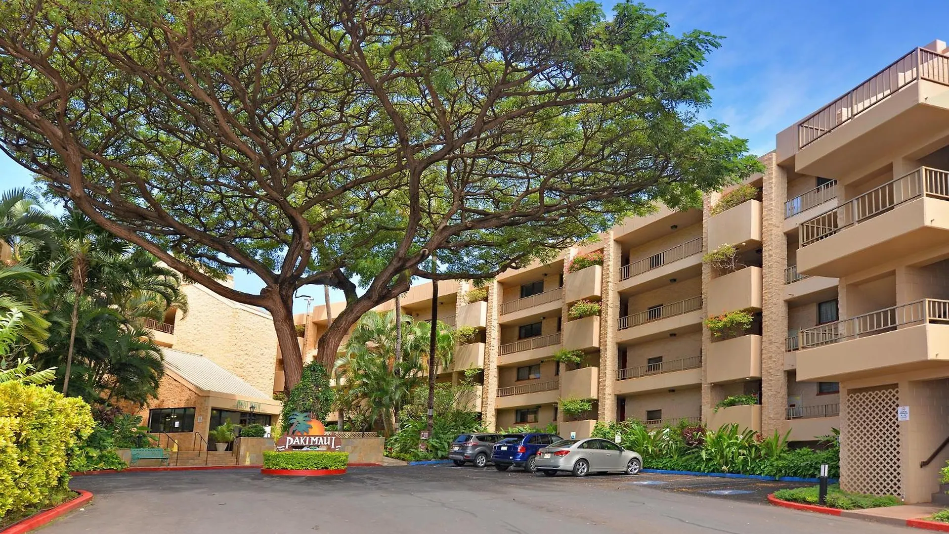 Paki Maui 301